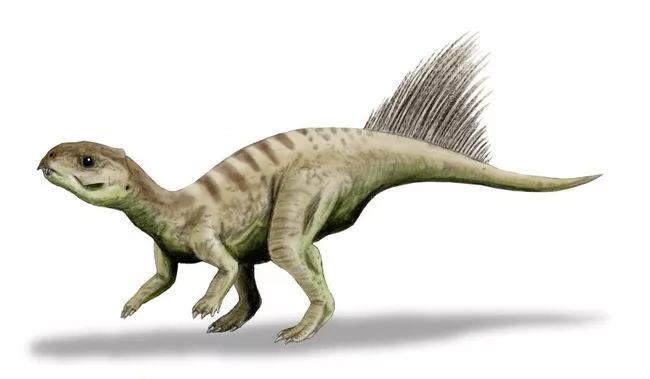 chaoyangsaurus